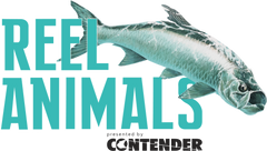 Reel Animals Fishing