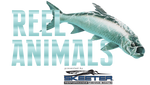 Reel Animals Fishing