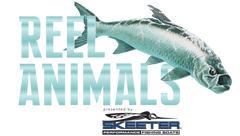 Reel Animals Fishing